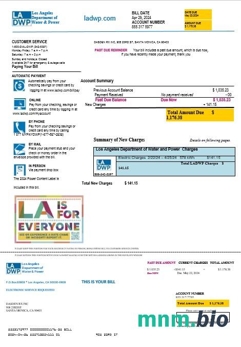 USA LA DWP rachunek za usługi komunalne szablon w formacie Word i PDF